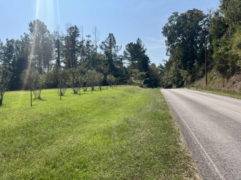 647b4dfe Bd96 4fcb B7a9 326edfcd61d4