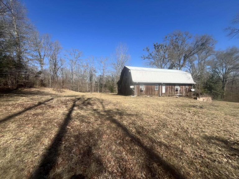 C97252c9 Eca9 4566 Bb07 F8ad4678ab6e